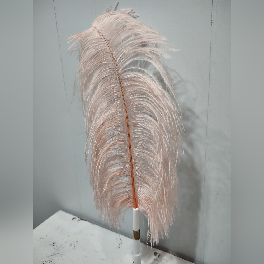 Vintage Ostrich Feather Quill Pen with Brass Holder Vanity Desk Decor Hollywood - Picture 3 of 6